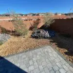Greenery planted along the back wall of a landscaping project in Washington.