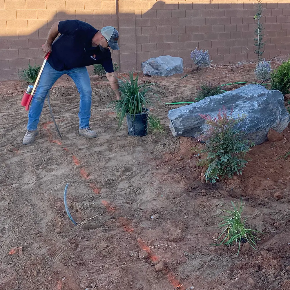 TrueRootsSteveSquare1k