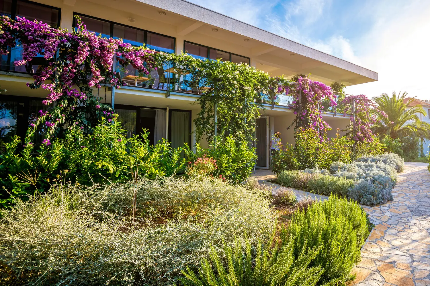 mediterranean backyard 1