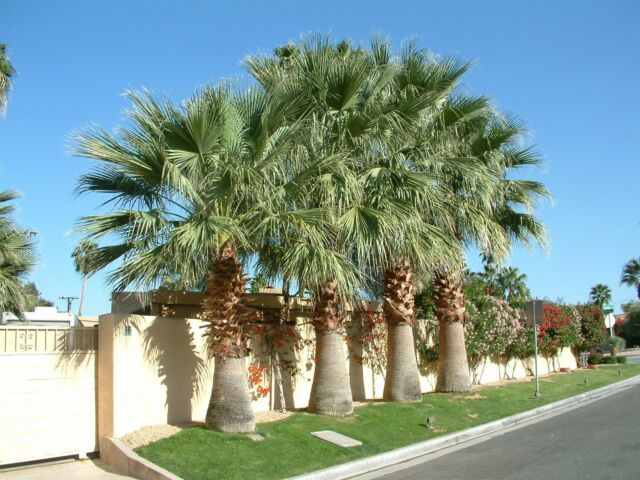 california